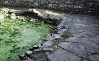 石畳と藻に濁った池。微生物パラダイス