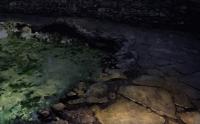 石畳と藻に濁った暗い池。照らしながら歩く・・