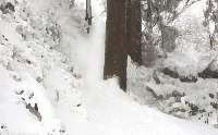 雪の道２。木の間を縫って進む